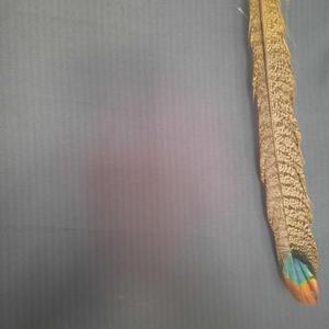 Delirios de un alquimista