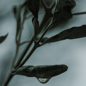 El Estrés Desaparece Para Siempre