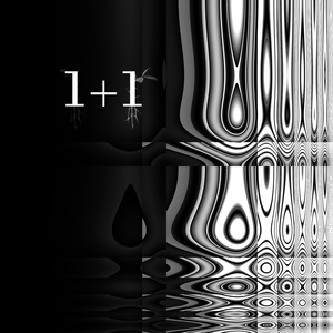 1+1