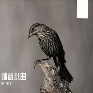 一首失败的歌