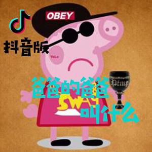 爸爸的爸爸叫什么（抖音版）