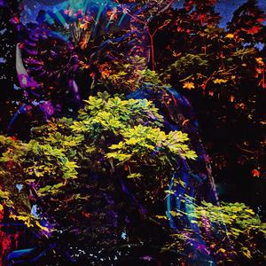 Own Way (feat. Siah.)