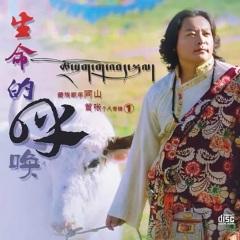 康巴姑娘