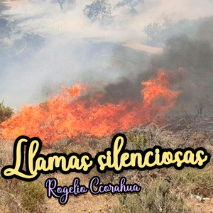 Llamas Silenciosas