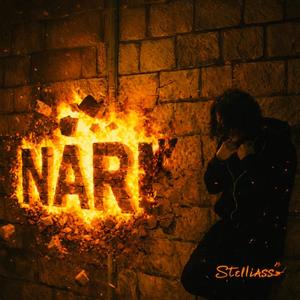 NARI