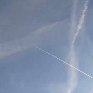 S T A R W A L K I N G (feat. Augxst)