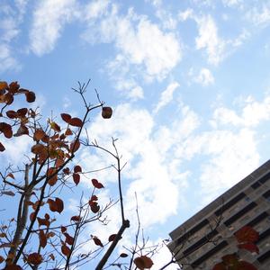 帰り道リスタート