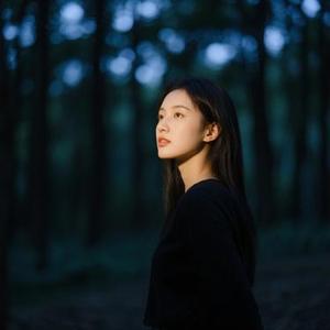 安静不打扰 (春城 Remix)