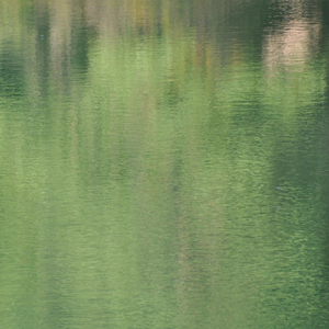 Unmotion Section Four