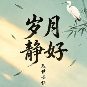 《岁月静好》撕裂版