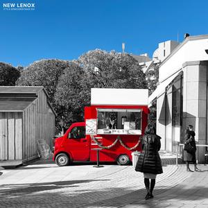 The Lights Would Sing Their Little Carols