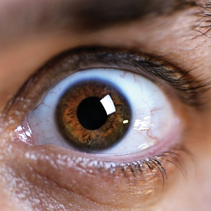 Beat Freak (Acappella)