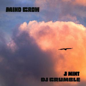 Mind Grow (feat. DJ Grumble)