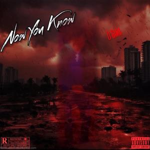 F.A.S. (feat. whycade)