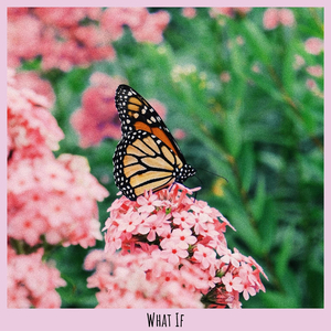 What If