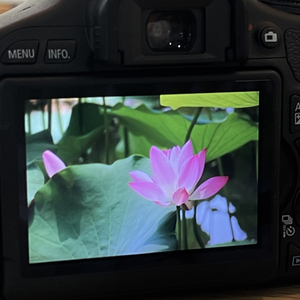 流花(guitar version)