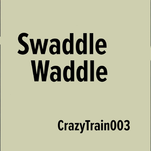 Swaddle Waddle