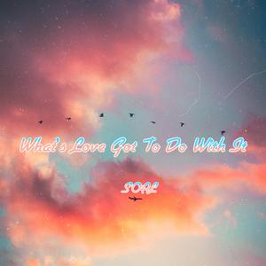 What's Love Got To Do With It