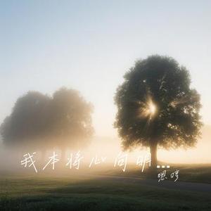 我本将心向明月 (Cover DJ大柱)
