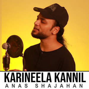 Karineela Kannil