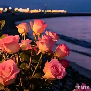 Kitarmangu（最新版）