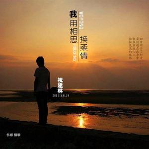 我用相思换柔情