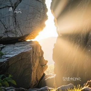 裂缝中的阳光 (Cover 林俊杰)