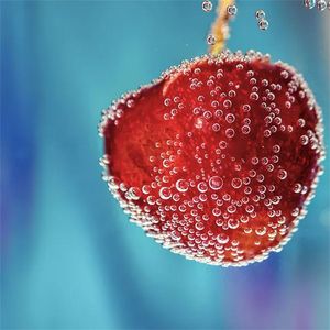 庾澄庆-春泥（一条鱼 remix）