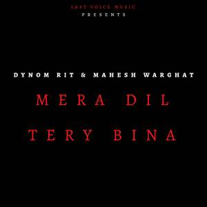 Mera Dil Tery Bina
