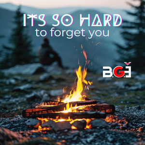 its so hard to forget you