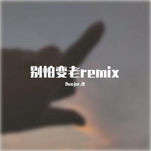 王以太-别怕变老remix（Danjor.梁 remix）