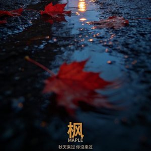 枫
