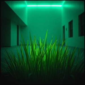 믿음과 불신 사이 Between faith and disbelief