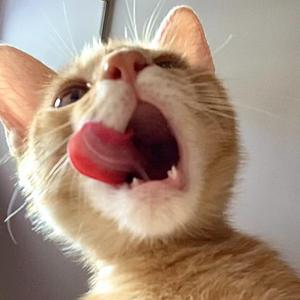 dade><3(prod.by 老森 Sen）