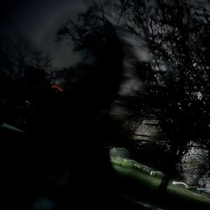 someone stop the screaming