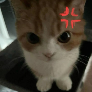 July. x Indie rock Beat