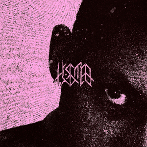 Километров стаи мы одни