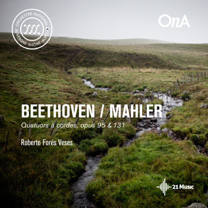 Quatuor No. 14 in C-Sharp Minor, Op. 131:I. Adagio ma non troppo e molto espressivo