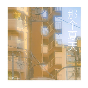 那个夏天