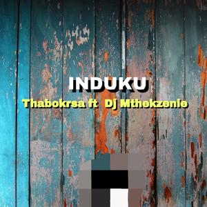 Induku (feat. Mthekzenie)