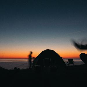 鸽子（翻自 宋冬野）