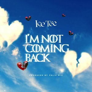 I'm Not Coming Back (Radio Edit)