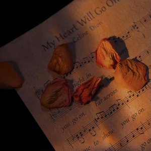 欣妍-我们小提琴版［荀博原创］（往年柚子茶 remix）