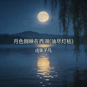 月色倒映在西湖(油尽灯枯)