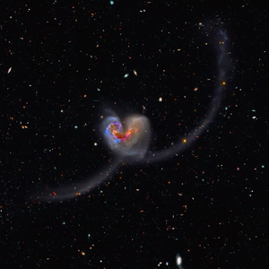 我们在同一片星空下