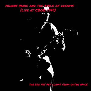 Johnny Panic and the Bible of Dreams (Live at C.B.G.B. 1979)