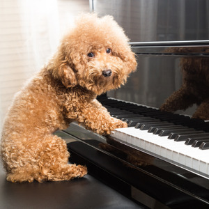 ひとりでできるもん