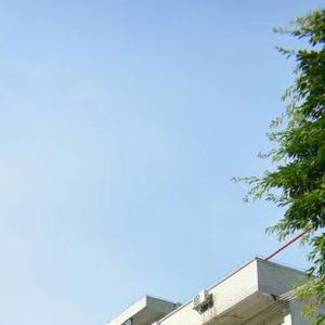 复古影里的缱绻旧忆