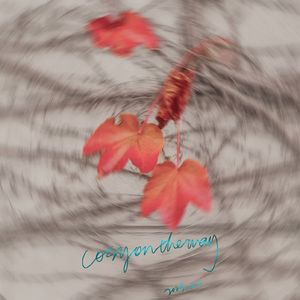 sunset starrain fa11