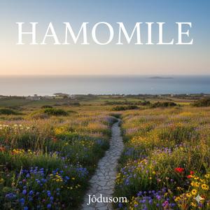 HAMOMILE